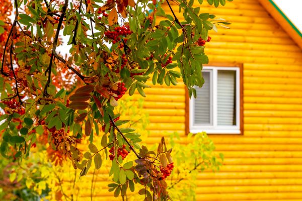 Garden Window Replacement in Kerrville